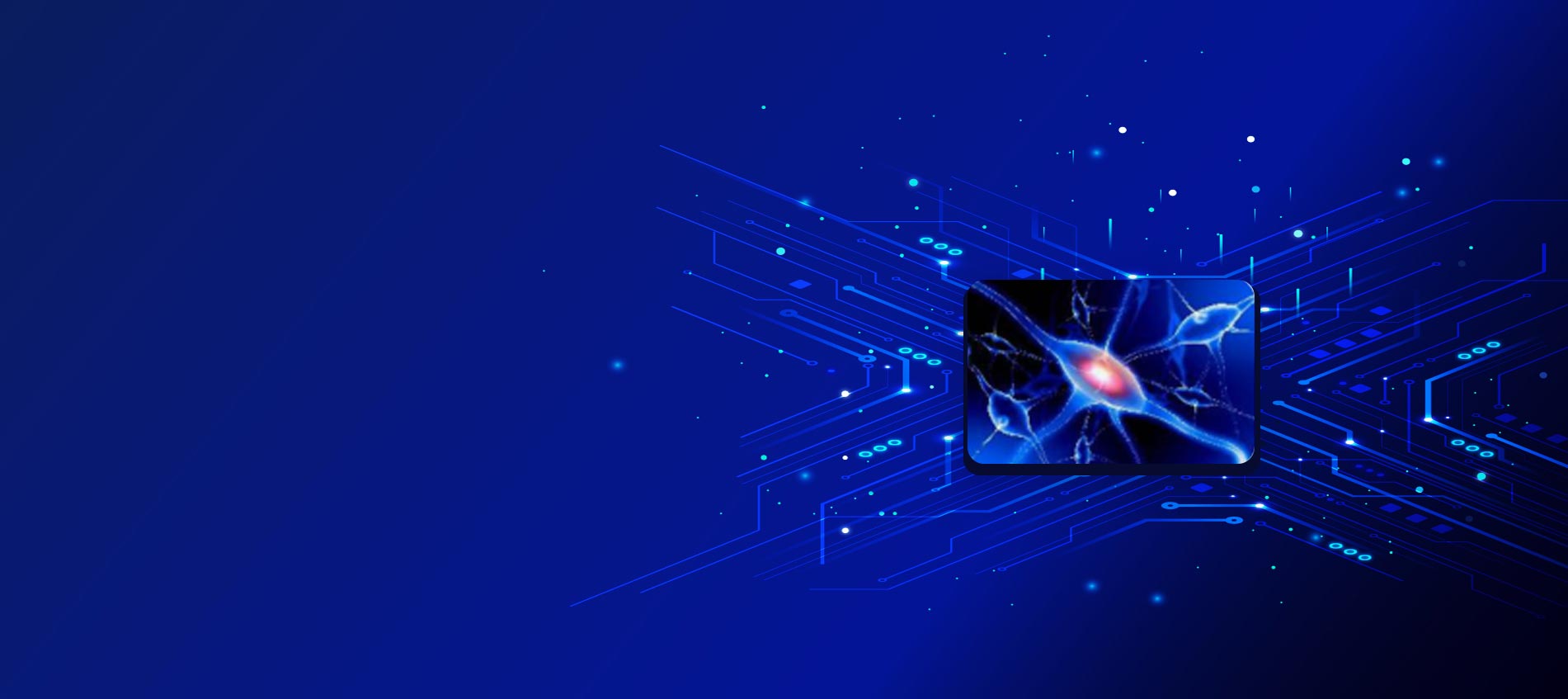 雙目立體視覺+AI雙驅動